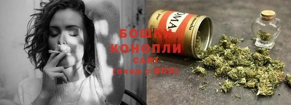 spice Верея